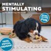 Hound Hide A Squirrel Plush Dog Toy Puzzle, XL