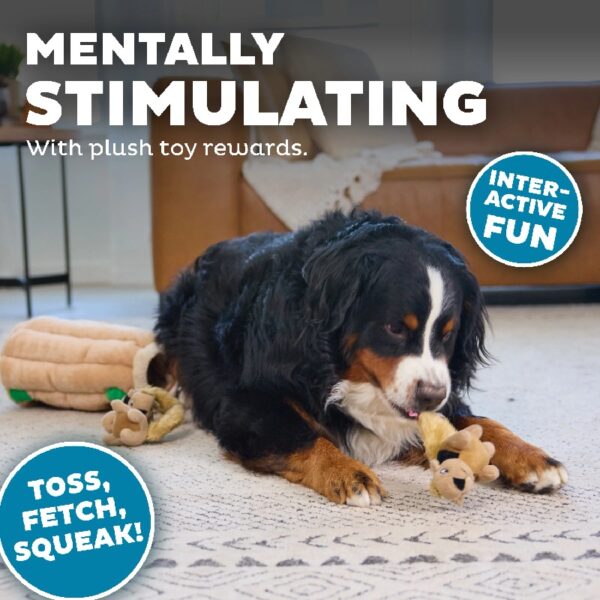 Hound Hide A Squirrel Plush Dog Toy Puzzle, XL
