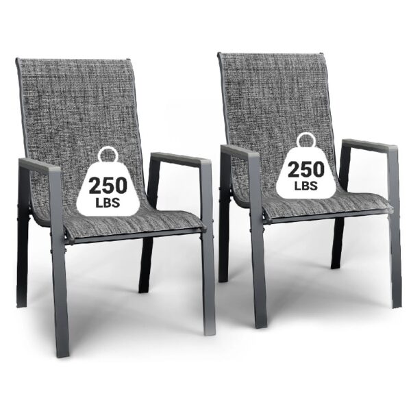 Outdoor Patio Dining Chairs Set of 2,Breathable Seat Fabric and Alloy Steel Frame for Backyard Porch Garden Sunroom , Dark Gray