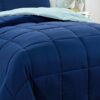 Light Weight Down Alternative Comforter Set, Queen, Green, Reversible