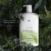 (4 pack) Mild and Gentle Body Wash, Aloe Scent, for All Skin Types, 35 fl oz