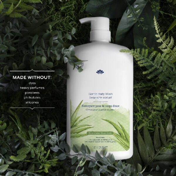 (4 pack) Mild and Gentle Body Wash, Aloe Scent, for All Skin Types, 35 fl oz