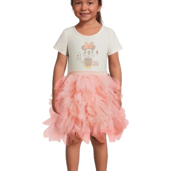 Disney Frozen Toddler Girl Short Sleeve Tutu Dress, Sizes 12M-5T