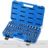 Master Torx Bit Socket and External Torx Socket Set, 60-Piece Set, S2 and Cr-V Steel E4-E24, T6-T70,TT6-TT70,TP8-TP60