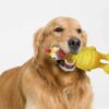 (3 pack)  Life Playful Buddy Tie Dye Chicken Dog Toy, Chew Level 2, with Squeaker.