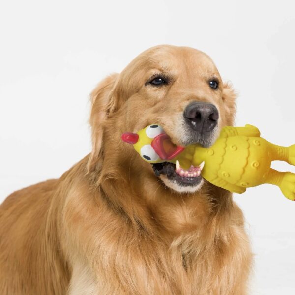 (3 pack)  Life Playful Buddy Tie Dye Chicken Dog Toy, Chew Level 2, with Squeaker.