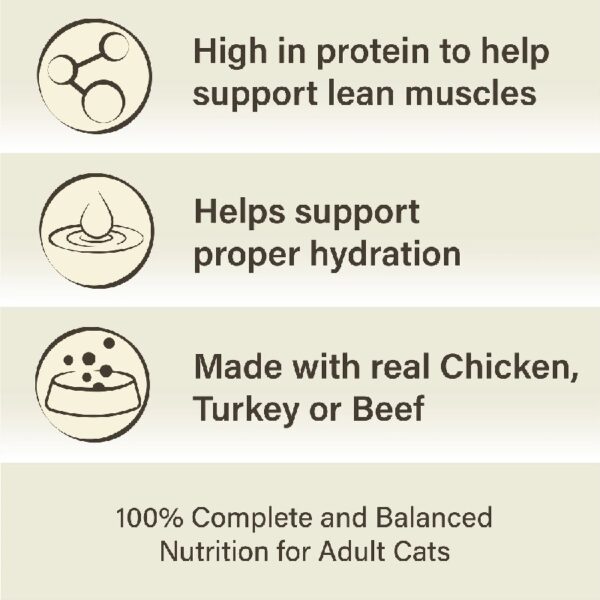 Special Kitty Surf & Turf Pate Wet Cat Food Variety Pack, 5.5 oz Cans (40 Pack)
