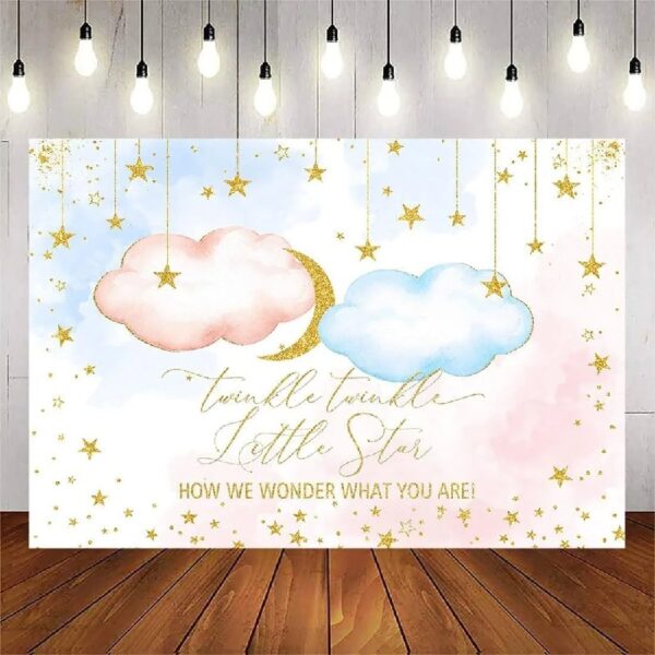 Custom Twinkle Twinkle Little Star Gender Reveal Backdrop 8x6ft Pink Blue Little Stars Baby Shower Background Glitter Gold Stars Moon Baby Reveal Surprise Party Photoshoot Banner