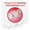 (3 pack) Peroxyl Mouth Sore Rinse Wash, 1.5% Hydrogen Peroxide, Mild Mint, 16.9 fl oz