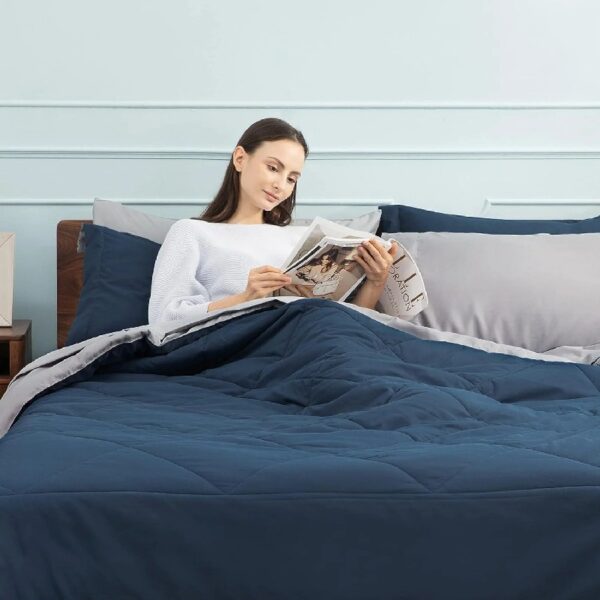 Light Purple Queen Comforter Set - 7 Pieces Reversible Queen Bed in a Bag, Queen Bed Set Light Purple and Grey with Comforters, Sheets, Pillowcases & Shams