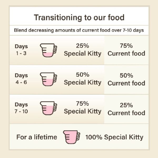 Special Kitty Poultry & Beef Cuts in Gravy Wet Cat Food Variety Pack, 5.5 oz Cans (40 Pack)