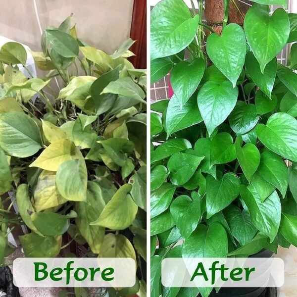 10lb of  100% Organic Coco Coir Bricks with Low EC and pH Balance High Expansion Coco Fiber for Herbs, Flowers,Plants Gardening Renewable Coconut Soil