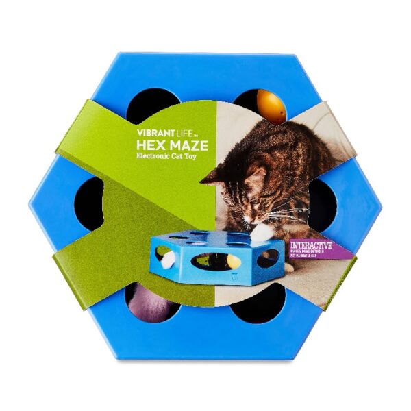 Vibrant Life Hex Maze Electronic Cat Toy