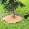 3 pcs Coconut Fibers Mulch Ring  24 Inches Tree Protector Mat Coconut Mulch Cover Natural Coconut Fiber Weed Control Rings, Tree Ring Plant Cover for Indoor Outdoor Plants, Pot, Landscaping