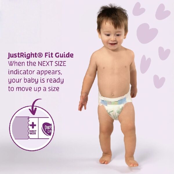 Dry & Gentle Diapers Size 6, 132 Count (Select for More Options)