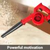 2-in-1 Cordless Leaf Blower & Vacuum - 21V Electric Handheld with 2 Lithium Batteries & Fast Charger, Powerful Yard Cleaner for Lawn, Patio & Sidewalk