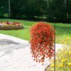 4PCS Artificial Flowers outdoor Spring Summer Decor Fake Hanging Plants UV Resistant Faux Plastic Greenery Hanging Flowers for Outside Gardens Porch Wall Home Indoor,ORANGE&YELLOW