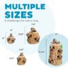 Hound Hide A Squirrel Plush Dog Toy Puzzle, XL