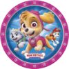 Anscam Paw Patrol Girls Skye and Everest Party Decoration Kit