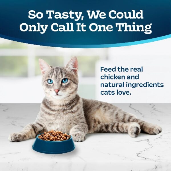 Blue Buffalo Indoor Health Natural Adult Dry Cat Food, Chicken & Brown Rice, 5-lb