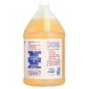 10013 Fuel Treatment Gallon 7.5 Pound