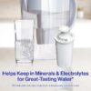 Standard Water Filter, Replacement Filters for Pitchers and Dispensers, BPA Free, 6 Count