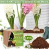 10lb of  100% Organic Coco Coir Bricks with Low EC and pH Balance High Expansion Coco Fiber for Herbs, Flowers,Plants Gardening Renewable Coconut Soil