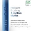 Black Series Electric Toothbrush - Rechargeable, 4 Modes, Travel Case, 8 Brush Heads