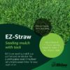 Rhino Seed EZ Straw 2.5 Cu Ft Seeding Mulch Bale with Tack, 500 Sq Ft