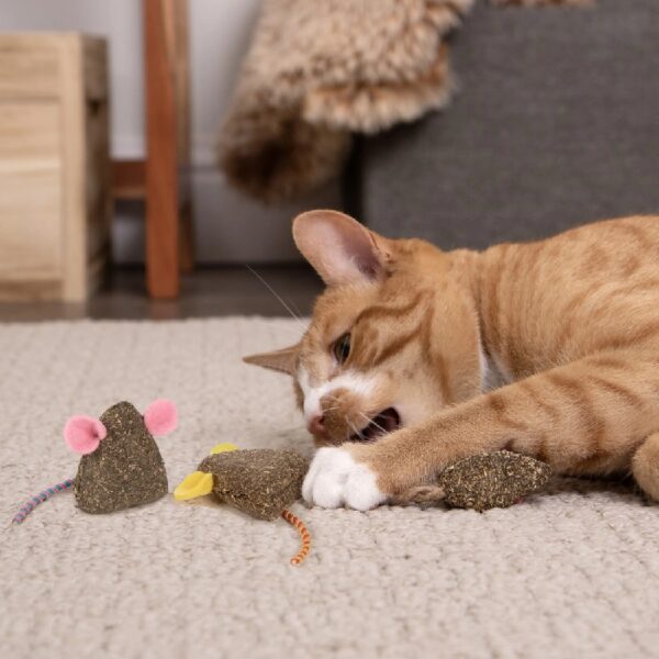 (3 pack) SmartyKat Mousy Mayhem 2-Piece Compressed Catnip Mice Cat Toys, Pink & Orange