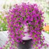 4PCS Artificial Flowers outdoor Spring Summer Decor Fake Hanging Plants UV Resistant Faux Plastic Greenery Hanging Flowers for Outside Gardens Porch Wall Home Indoor,ORANGE&YELLOW