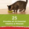 Purina Cat Chow Naturals, Dry Cat Food, Chicken & Salmon, 18 lb Bag