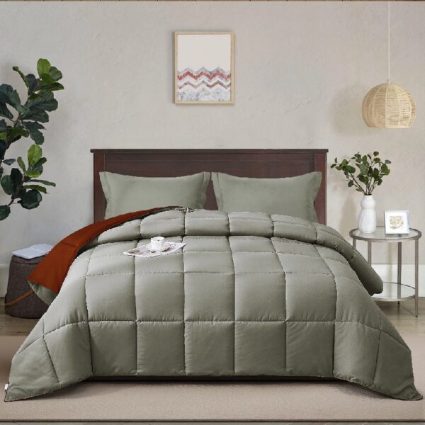 Light Weight Down Alternative Comforter Set, Queen, Green, Reversible