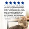 Purina Cat Chow Complete, Dry Cat Food, Chicken, 20 lb Bag