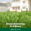 Green Max Lawn Food, Fertilizer Plus Iron Supplement, 5,000 sq. ft., 16.67 lbs.
