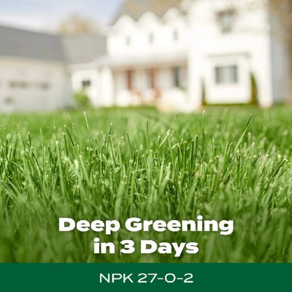 Green Max Lawn Food, Fertilizer Plus Iron Supplement, 5,000 sq. ft., 16.67 lbs.