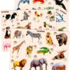 Toddlers Educational Toys Learning Games Jigsaw Puzzles, Wood, 3 Count