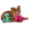 Dragons Large Dog Toys with Chew Guard Technology (2 Pack)