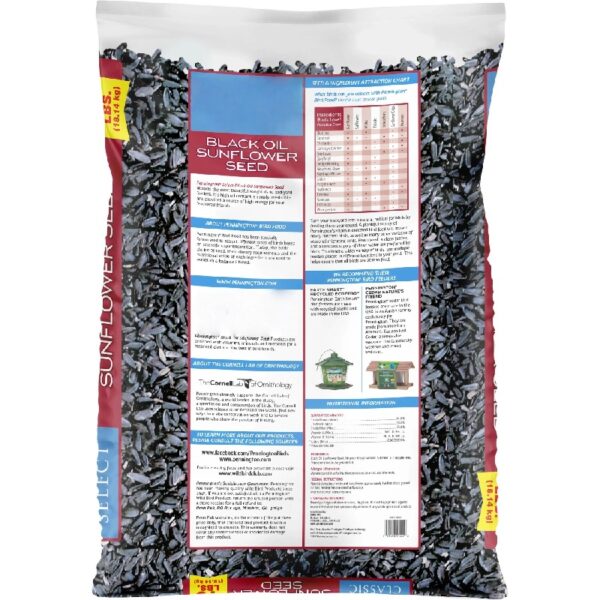 Select Black Oil Sunflower Seed Wild Bird Dry Feed, 40 lb. Bag