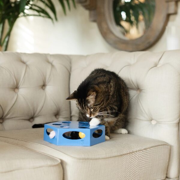 Vibrant Life Hex Maze Electronic Cat Toy