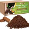 10lb of  100% Organic Coco Coir Bricks with Low EC and pH Balance High Expansion Coco Fiber for Herbs, Flowers,Plants Gardening Renewable Coconut Soil