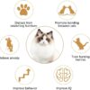 Cat Toys, Interactive Cat Toy 2PCS Retractable Wand Toy and 9PCS Feather Toys Refills