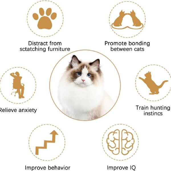 Cat Toys, Interactive Cat Toy 2PCS Retractable Wand Toy and 9PCS Feather Toys Refills