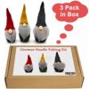 3 Pack Gnome Felting Kits Mother's Day Craft Kit 6 inch Gnomes Ornaments Kit Include Everything to Make - Friendly Instruction Gift for Mom, Gift for Wedding
