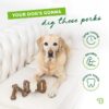2-Pack Fishbone/Wishbone Durable Dog Chew Toys, Real Fish, Real Bacon, Large