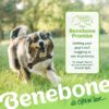 2-Pack Fishbone/Wishbone Durable Dog Chew Toys, Real Fish, Real Bacon, Large