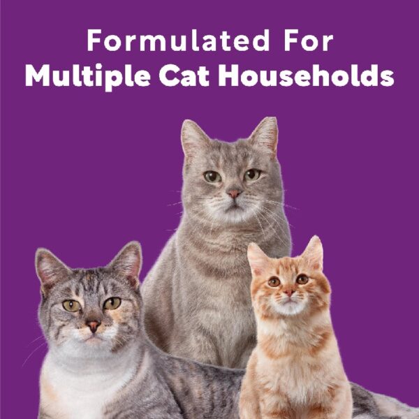 Multi Cat Litter With Meadow Fresh Scent, 38 lb.