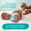 Sensitive Baby Wipes Unscented, 12 Pack, 1008 Total Count (Select for More Options)