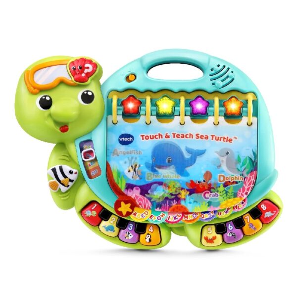 Turtle Baby and Toddler Toys
