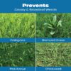 Turf Builder Halts Crabgrass Preventer with Lawn Food, 13.35 lb.